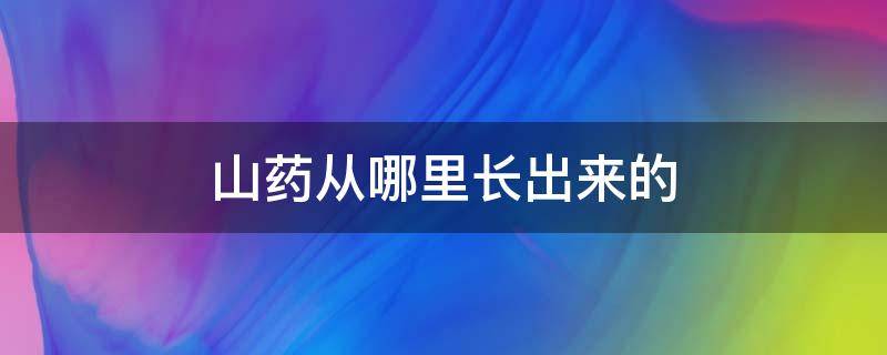 山药从哪里长出来的（山药是怎么种的怎么长出来的）