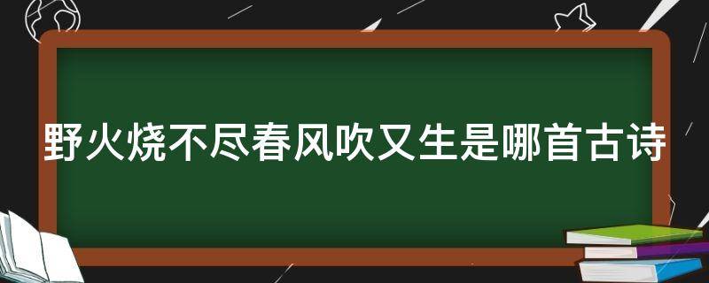 野火烧不尽春风吹又生是哪首古诗 野火烧不尽春风吹又生的意思