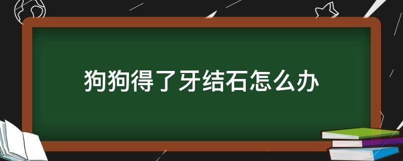 狗狗得了牙结石怎么办（狗狗有牙结石怎么回事）