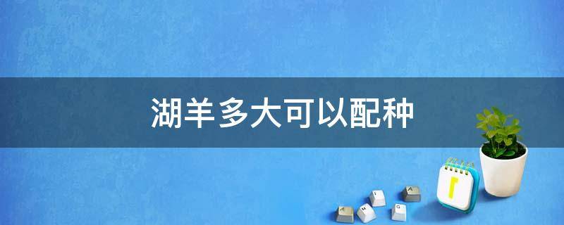 湖羊多大可以配种 湖羊配种后到产仔共几月