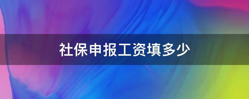 社保申报工资填多少（社保申报工资填多少好）