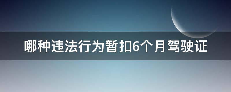 哪种违法行为暂扣6个月驾驶证（哪些违法行为暂扣6个月驾驶证）