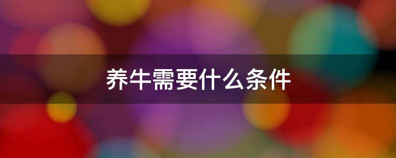 养牛需要什么条件 养牛需要什么条件需要什么设备