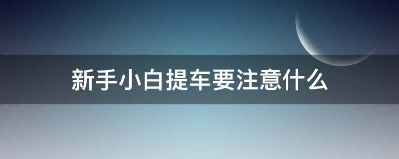 新手小白提车要注意什么（小白买新车需要注意什么）