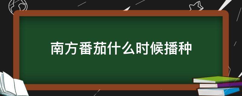 南方番茄什么时候播种（在南方西红柿几时可以播种）