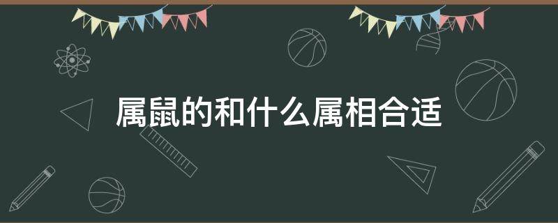 属鼠的和什么属相合适（属鼠的和什么属相合适合做兄妹）