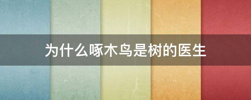 为什么啄木鸟是树的医生 为什么啄木鸟是树的医生别的鸟不行吗