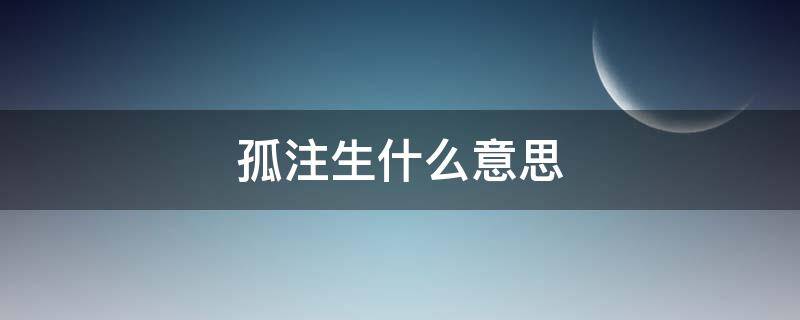 孤注生什么意思（注孤一生什么意思）