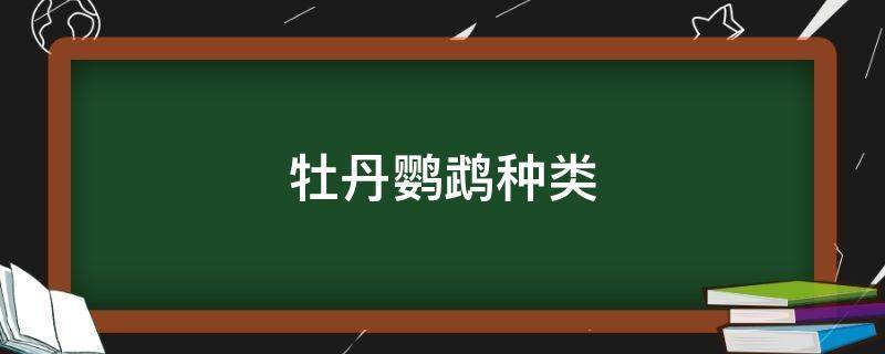 牡丹鹦鹉种类 牡丹鹦鹉种类名称及介绍