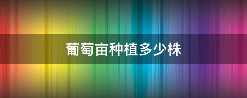 葡萄亩种植多少株 亩种葡萄苗多少株