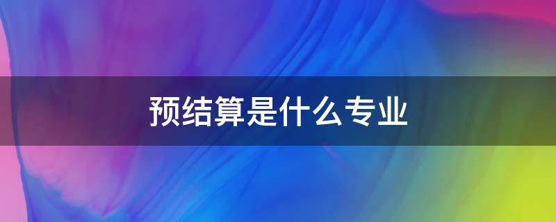 预结算是什么专业（预结算做什么的）