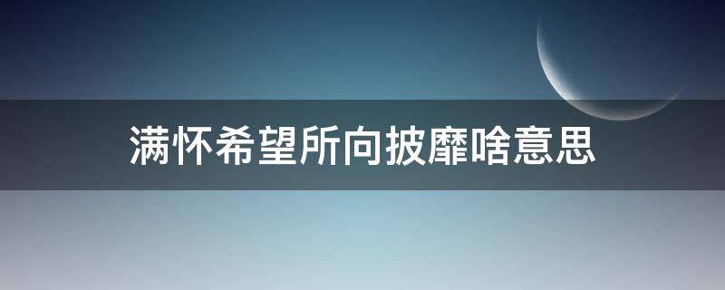 满怀希望所向披靡啥意思（满怀希望,所向披靡）