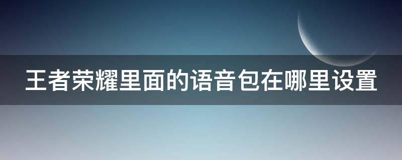 王者荣耀里面的语音包在哪里设置（王者荣耀中的语音包在哪里设置）