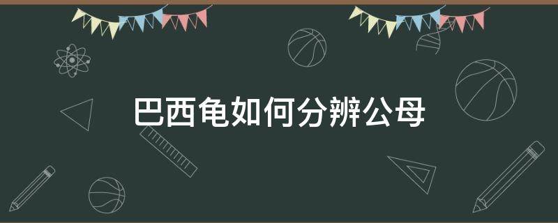 巴西龟如何分辨公母（巴西龟如何分辨公母最简单）