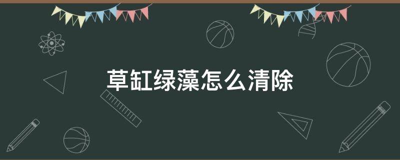 草缸绿藻怎么清除 草缸绿藻如何清除