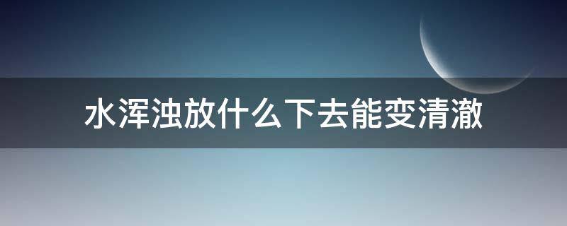 水浑浊放什么下去能变清澈（刚出来的水是浑浊的怎么样才能变清澈）