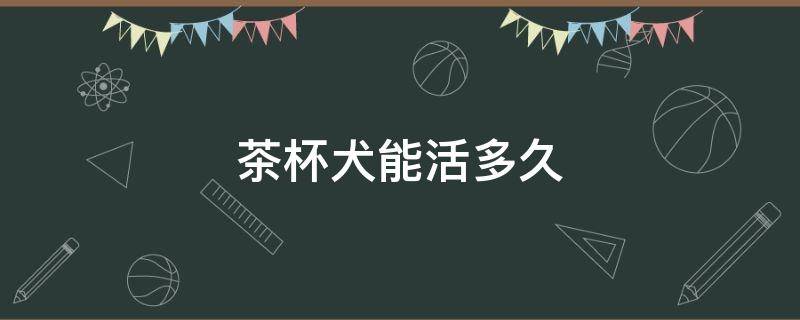 茶杯犬能活多久 泰迪茶杯犬能活多久