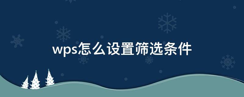 wps怎么设置筛选条件 wps excel怎么按条件筛选