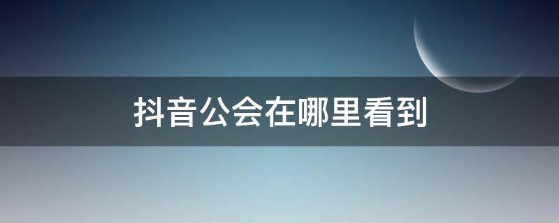 抖音公会在哪里看到（抖音公会在哪里看到 别人是什么公会）