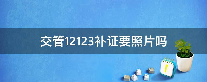 交管12123补证要照片吗（交管12123补证照片怎么弄）