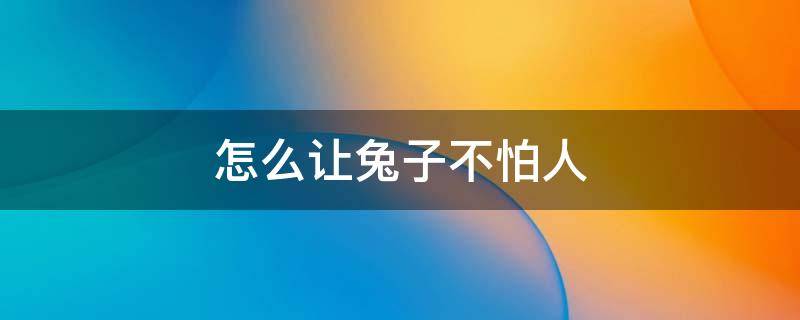 怎么让兔子不怕人 怎么才能让兔子不害怕