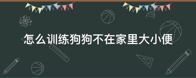 怎么训练狗狗不在家里大小便（如何训练狗狗不在家里大小便）