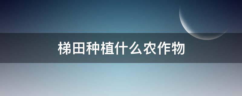 梯田种植什么农作物（哈尼梯田种植什么农作物）