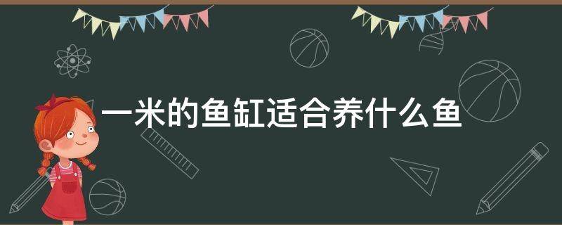 一米的鱼缸适合养什么鱼 一米的鱼缸建议养什么鱼