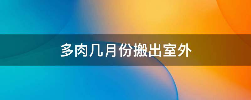 多肉几月份搬出室外（多肉植物几月份可以搬出室外）