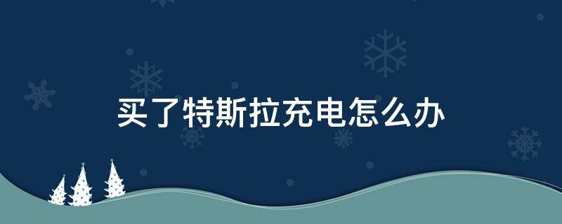 买了特斯拉充电怎么办 特斯拉充电充坏了