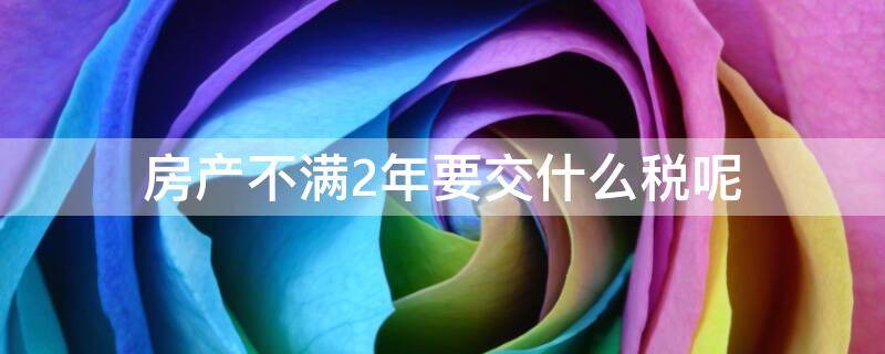 房产不满2年要交什么税呢（房产证不满2年交什么税）