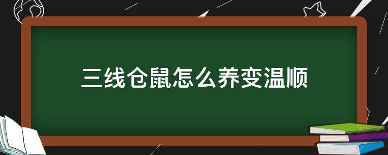 三线仓鼠怎么养变温顺（三线仓鼠温柔吗）