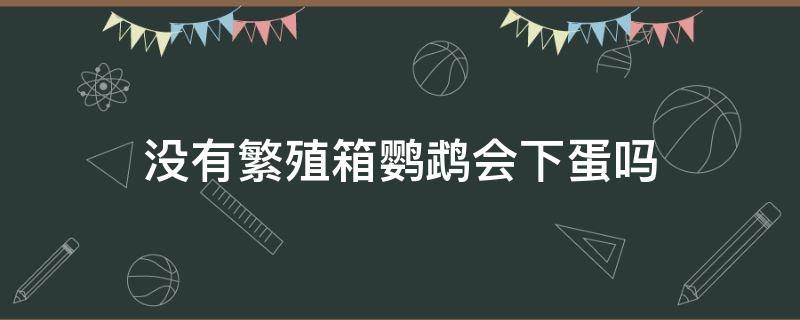 没有繁殖箱鹦鹉会下蛋吗 鹦鹉没有繁殖箱会不会下蛋