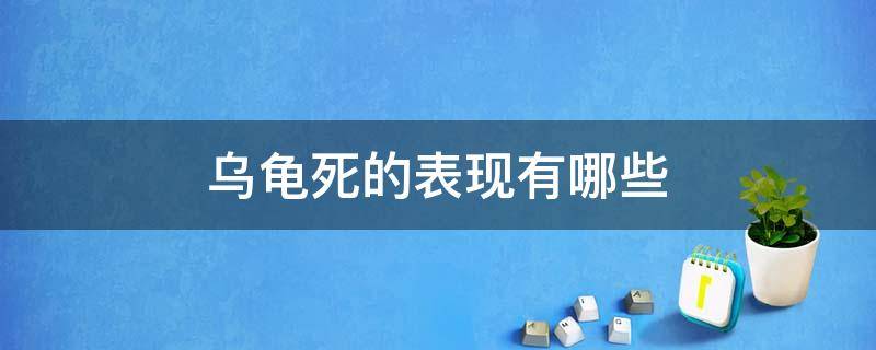 乌龟死的表现有哪些（乌龟死了的表现是什么）