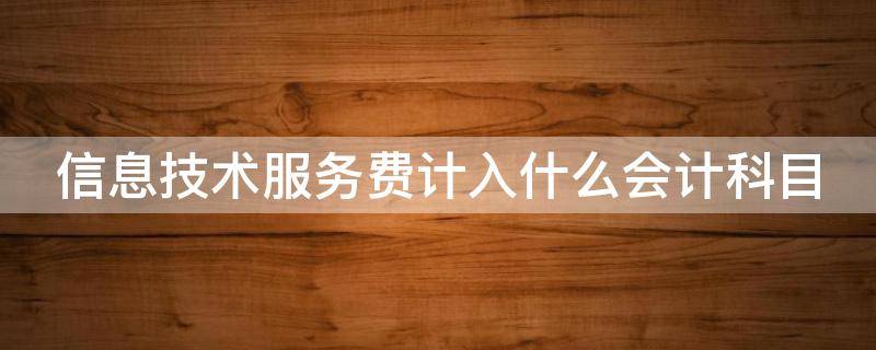 信息技术服务费计入什么会计科目 信息技术服务费计入什么会计科目事业单位