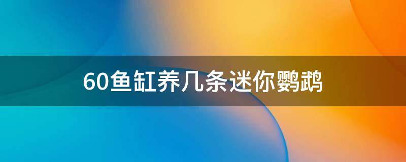 60鱼缸养几条迷你鹦鹉 60的鱼缸养几条迷你鹦鹉