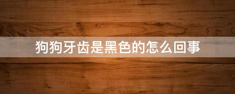 狗狗牙齿是黑色的怎么回事 狗狗牙龈是黑色的怎么回事