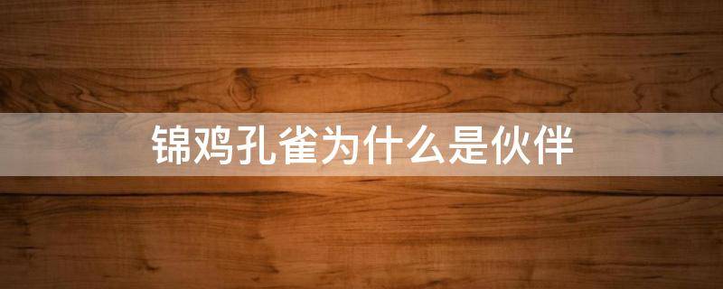 锦鸡孔雀为什么是伙伴（为什么说孔雀锦鸡是伙伴它们有什么相同点）