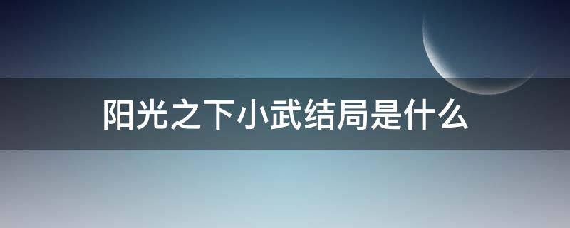 阳光之下小武结局是什么 阳光之下小武到底爱谁