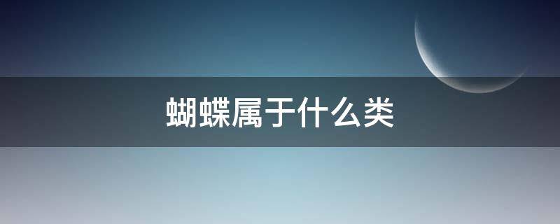 蝴蝶属于什么类（蜜蜂蝴蝶属于什么类）