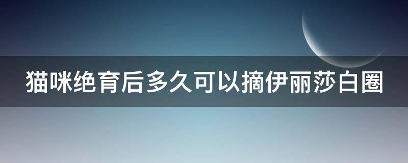 猫咪绝育后多久可以摘伊丽莎白圈（猫咪绝育后几天可以摘伊丽莎白圈）