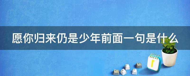 愿你归来仍是少年前面一句是什么（愿你归来仍是少年前面一句是什么风雨里像个大人）