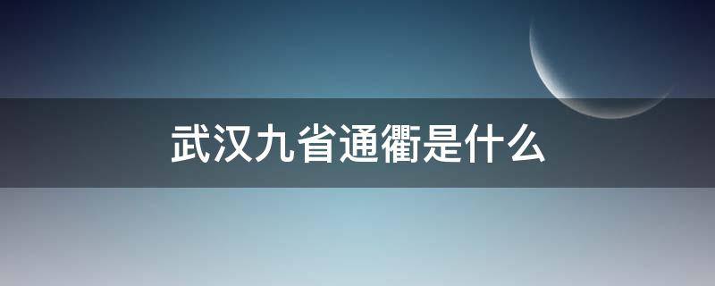 武汉九省通衢是什么（武汉九省通衢是什么读音）