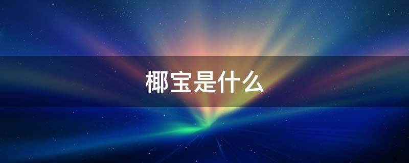 椰宝是什么 海南椰宝是什么