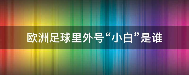 欧洲足球里外号“小白”是谁 欧洲球队外号