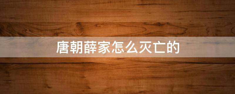 唐朝薛家怎么灭亡的 唐朝薛家怎么灭亡的唐朝薛家