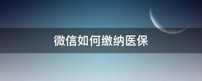 微信如何缴纳医保（微信如何缴纳医保和养老保险）