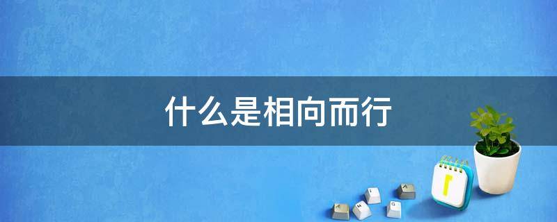 什么是相向而行 什么是相向而行?