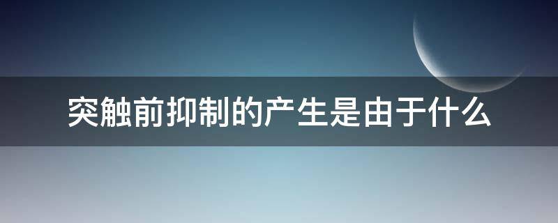 突触前抑制的产生是由于什么 突触前抑制是由于什么所致