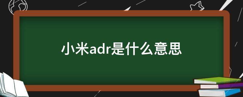 小米adr是什么意思（小米 ADR）